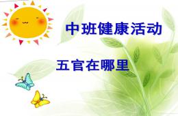 中班健康五官在哪里PPT课件