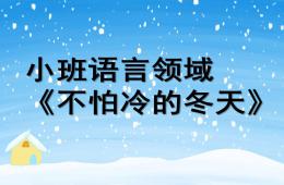 小班语言不怕冷的大衣PPT课件