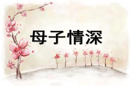 大班语言母子情深PPT课件