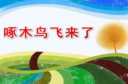中班音乐啄木鸟飞来了PPT课件音乐