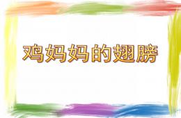小班语言鸡妈妈的翅膀PPT课件