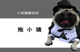 小班体育游戏拖小猪PPT课件
