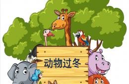 中班科学活动课动物过冬PPT课件