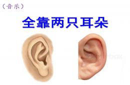 托班音乐全靠两只耳朵PPT课件