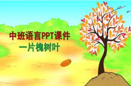 中班语言一片槐树叶PPT课件