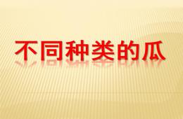 中班科学不同种类的瓜PPT课件