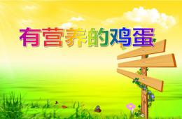 中班健康有营养的鸡蛋PPT课件