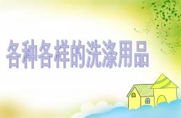 中班科学活动各种各样的洗涤用品PPT课件