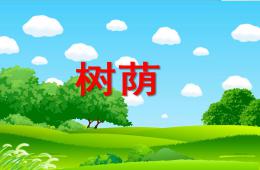 中班语言活动树荫PPT课件