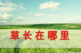 中班科学草长在哪里PPT课件