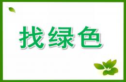 中班综合找绿色PPT课件