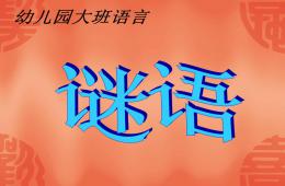 大班语言谜语PPT课件
