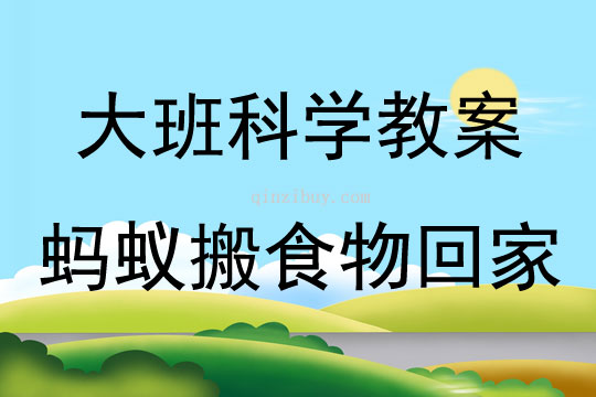 大班科学活动蚂蚁搬食物回家教案反思