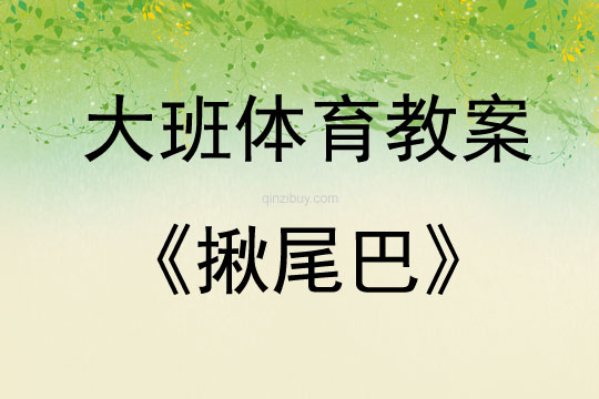 大班体育游戏揪尾巴教案反思
