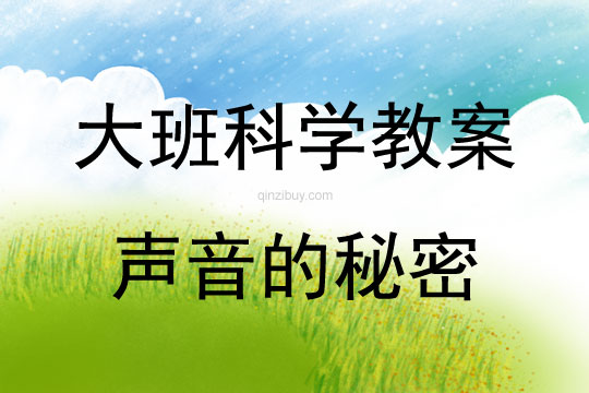 大班科学活动声音的秘密教案反思