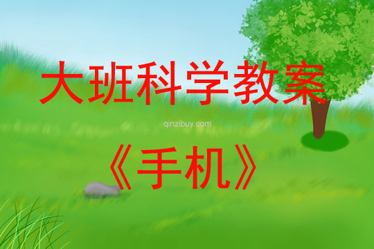 大班科学活动手机教案反思
