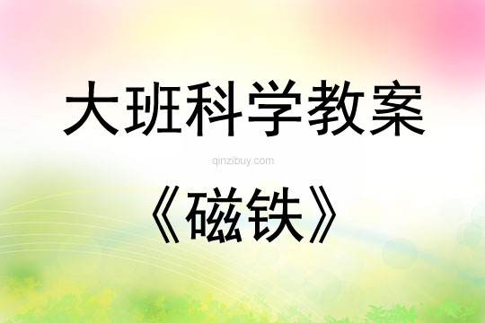 大班科学活动磁铁教案反思