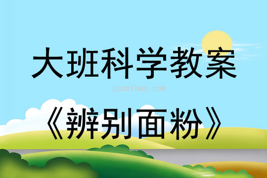 大班科学活动辨别面粉教案反思