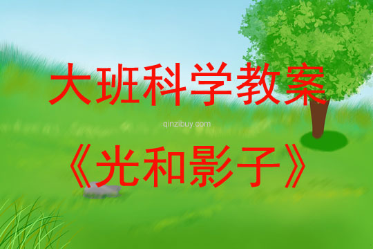 大班科学光和影子教案反思
