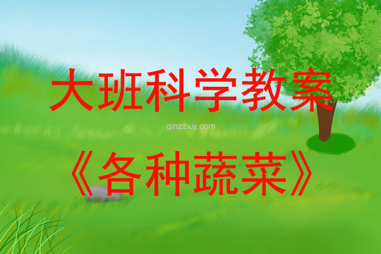 大班科学活动各种蔬菜教案反思