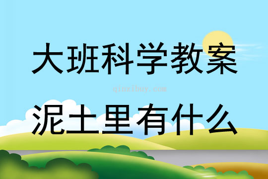 大班科学活动泥土里有什么教案反思
