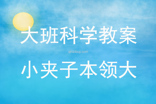 大班科学活动小夹子本领大教案反思