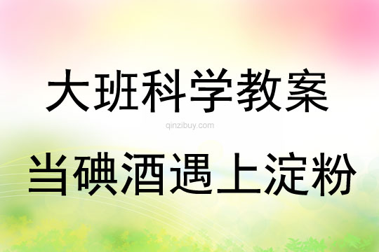 大班科学活动当碘酒遇上淀粉教案反思