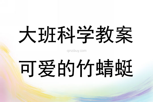 大班科学活动可爱的竹蜻蜓教案反思