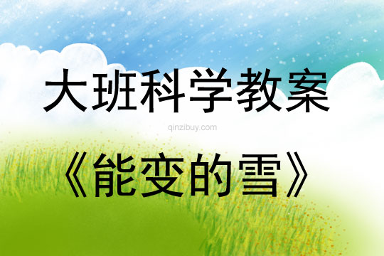 大班科学活动能变的雪教案反思