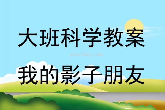 大班科学我的影子朋友教案反思