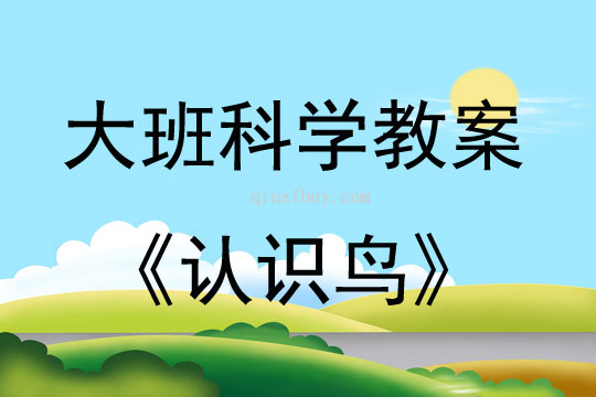 大班科学认识鸟教案反思