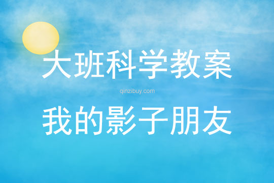 大班科学活动教案：我的影子朋友教案(附教学反思)