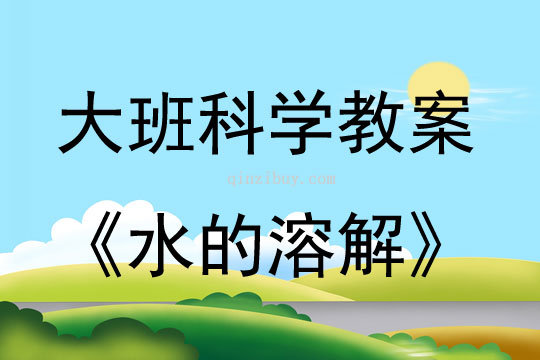 大班科学活动教案：水的溶解教案(附教学反思)