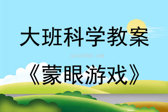 大班科学活动蒙眼游戏教案反思