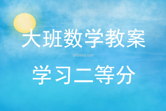 大班数学活动学习二等分教案反思