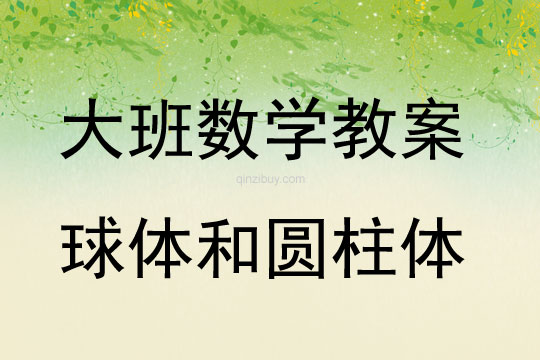 大班数学活动球体和圆柱体教案反思