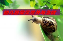 幼儿园常见意外与急救PPT课件
