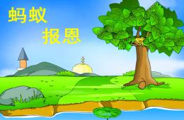 幼儿园故事蚂蚁报恩PPT课件
