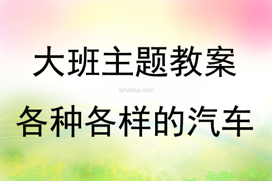 大班主题活动各种各样的汽车教案反思