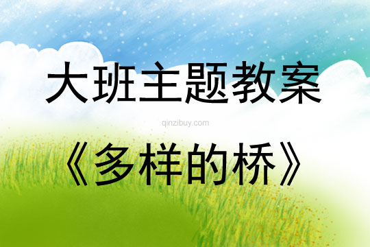 大班主题活动多样的桥教案反思