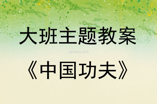 大班主题活动教案：中国功夫教案