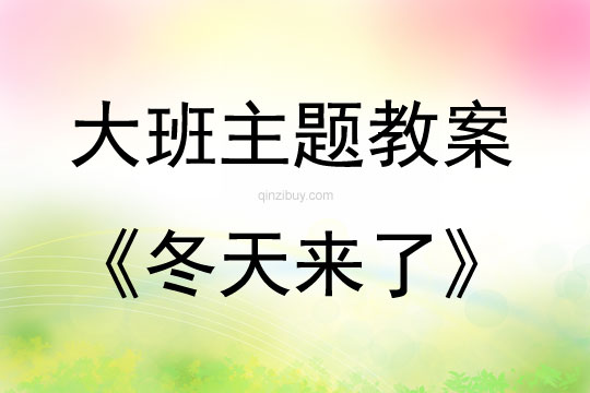 大班主题冬天来了教案反思