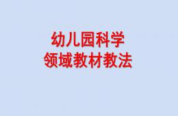 幼儿园科学领域教法PPT课件
