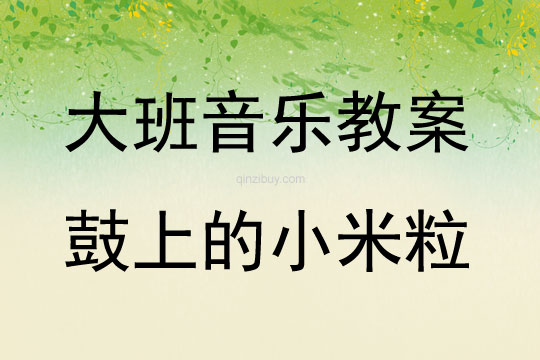 大班音乐活动鼓上的小米粒教案反思
