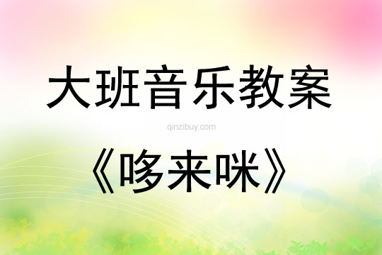 大班音乐哆来咪教案反思