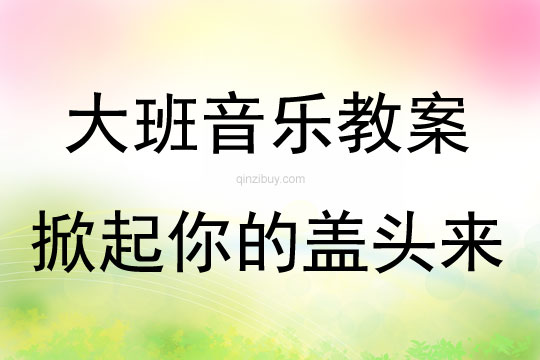 大班音乐活动掀起你的盖头来教案反思