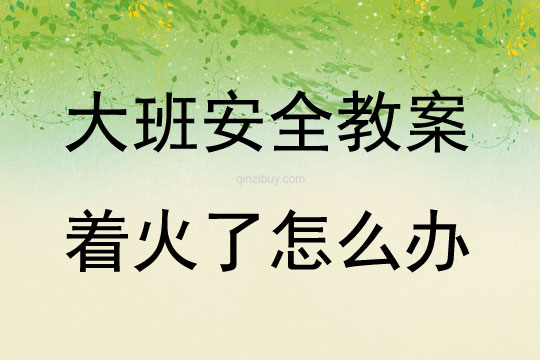 大班安全活动教案：着火了怎么办教案(附教学反思)
