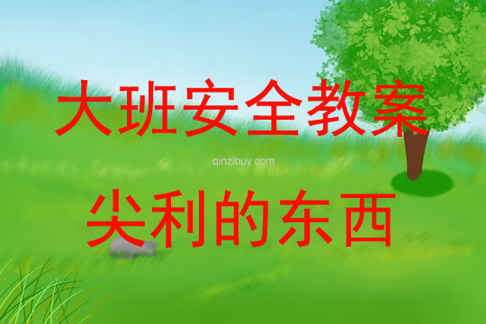 大班安全尖利的东西教案反思