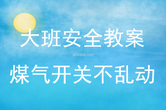 大班安全煤气开关不乱动教案反思