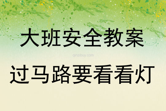 大班安全活动教案：过马路要看看灯教案(附教学反思)